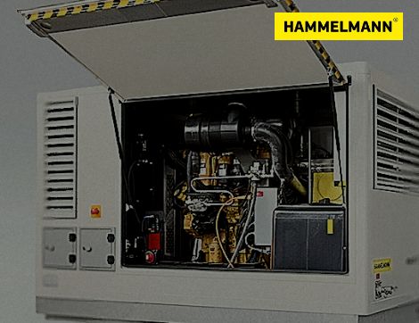 HAMMELMANN 写真