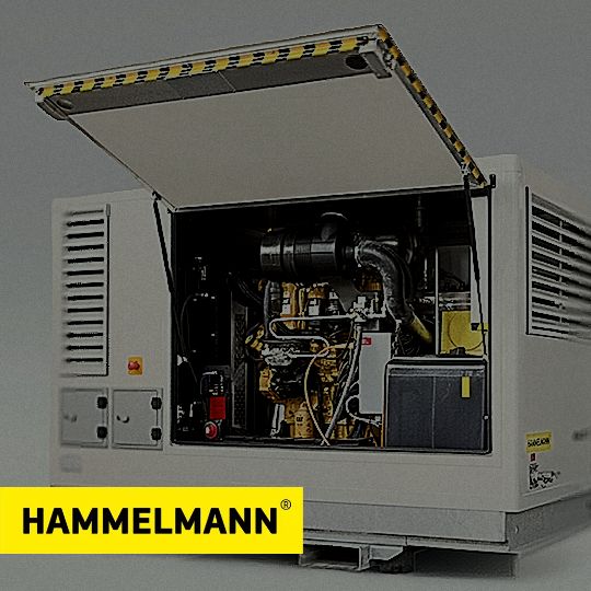 HAMMELMANN