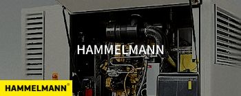 HAMMELMANN