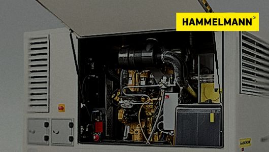 HAMMELMANN